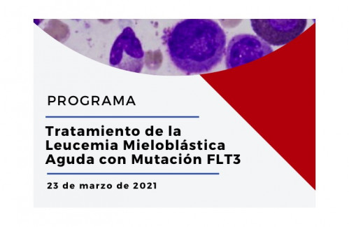 Tratamiento de la Leucemia Mieloblástica Aguda con Mutación FLT3